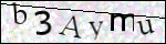 Human Confirmation Code (Captcha)