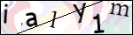 Human Confirmation Code (Captcha)