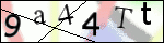 Human Confirmation Code (Captcha)