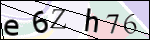 Human Confirmation Code (Captcha)