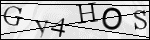 Human Confirmation Code (Captcha)