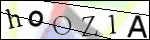 Human Confirmation Code (Captcha)