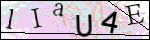 Human Confirmation Code (Captcha)