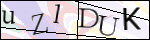 Human Confirmation Code (Captcha)