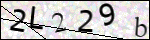 Human Confirmation Code (Captcha)