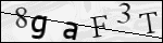 Human Confirmation Code (Captcha)