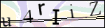 Human Confirmation Code (Captcha)
