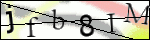 Human Confirmation Code (Captcha)