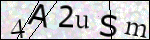 Human Confirmation Code (Captcha)