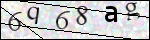 Human Confirmation Code (Captcha)