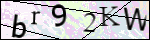 Human Confirmation Code (Captcha)