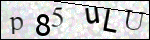Human Confirmation Code (Captcha)