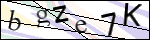 Human Confirmation Code (Captcha)