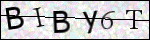 Human Confirmation Code (Captcha)