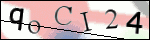 Human Confirmation Code (Captcha)