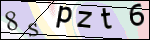 Human Confirmation Code (Captcha)