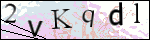 Human Confirmation Code (Captcha)