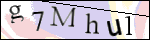 Human Confirmation Code (Captcha)