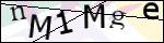 Human Confirmation Code (Captcha)
