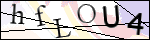 Human Confirmation Code (Captcha)
