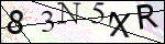 Human Confirmation Code (Captcha)