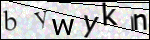 Human Confirmation Code (Captcha)