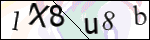 Human Confirmation Code (Captcha)