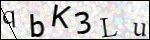 Human Confirmation Code (Captcha)