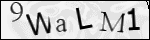 Human Confirmation Code (Captcha)