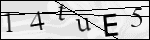 Human Confirmation Code (Captcha)