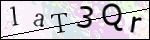 Human Confirmation Code (Captcha)