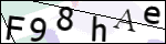 Human Confirmation Code (Captcha)