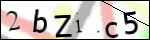 Human Confirmation Code (Captcha)