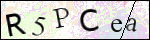 Human Confirmation Code (Captcha)