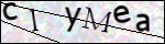 Human Confirmation Code (Captcha)