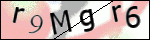 Human Confirmation Code (Captcha)