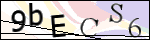 Human Confirmation Code (Captcha)