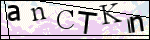 Human Confirmation Code (Captcha)