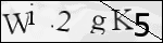Human Confirmation Code (Captcha)