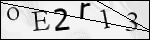 Human Confirmation Code (Captcha)