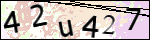 Human Confirmation Code (Captcha)