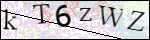 Human Confirmation Code (Captcha)