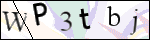 Human Confirmation Code (Captcha)