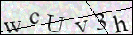 Human Confirmation Code (Captcha)