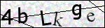 Human Confirmation Code (Captcha)