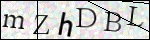 Human Confirmation Code (Captcha)