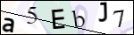 Human Confirmation Code (Captcha)