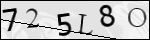 Human Confirmation Code (Captcha)