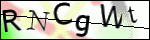 Human Confirmation Code (Captcha)