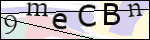 Human Confirmation Code (Captcha)